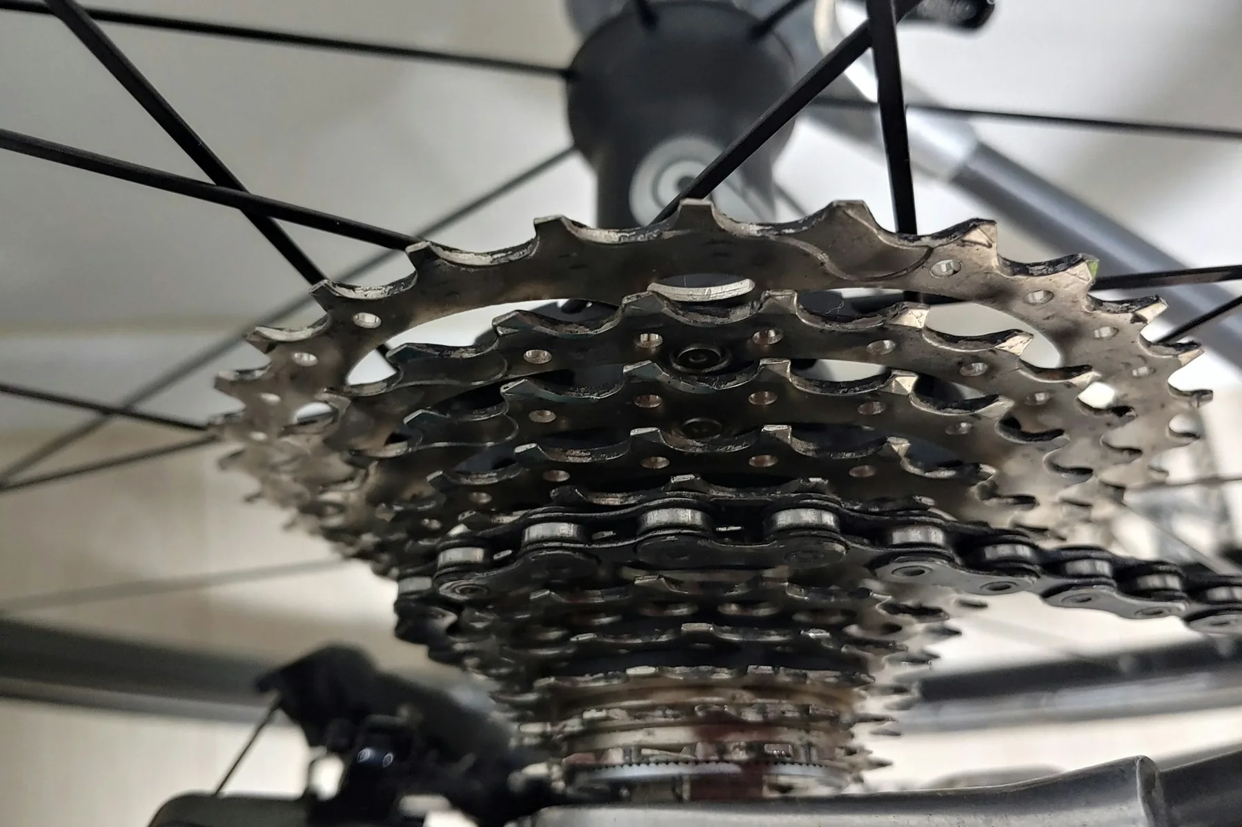 Close-up of a bicycle cassette and chain
