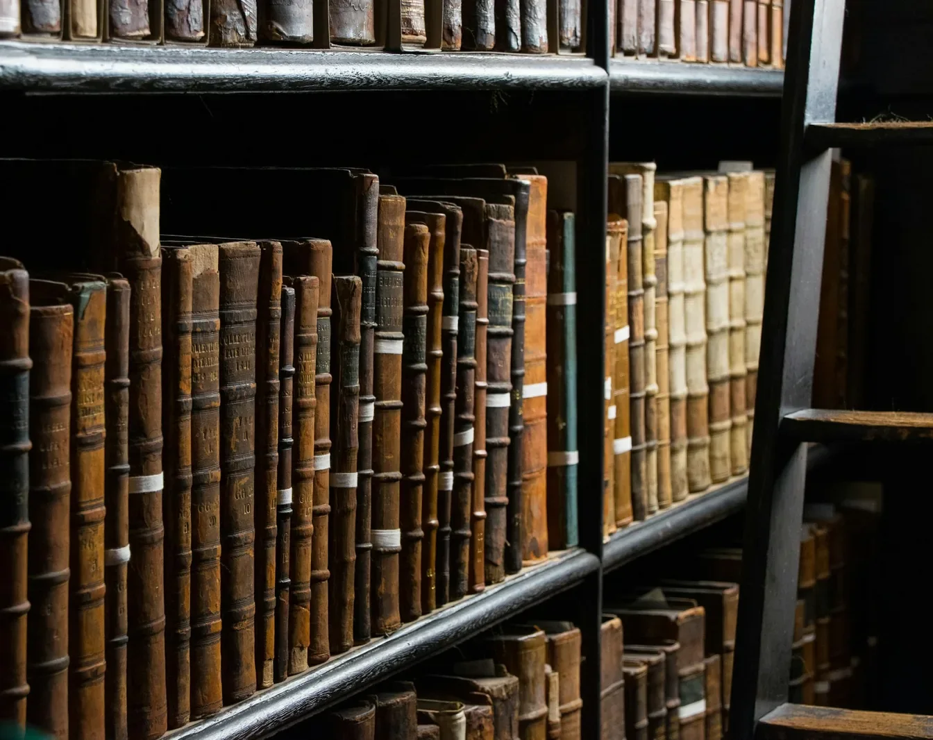 Alte Bücher in Lederbänden in einem Regal, daneben eine Leiter